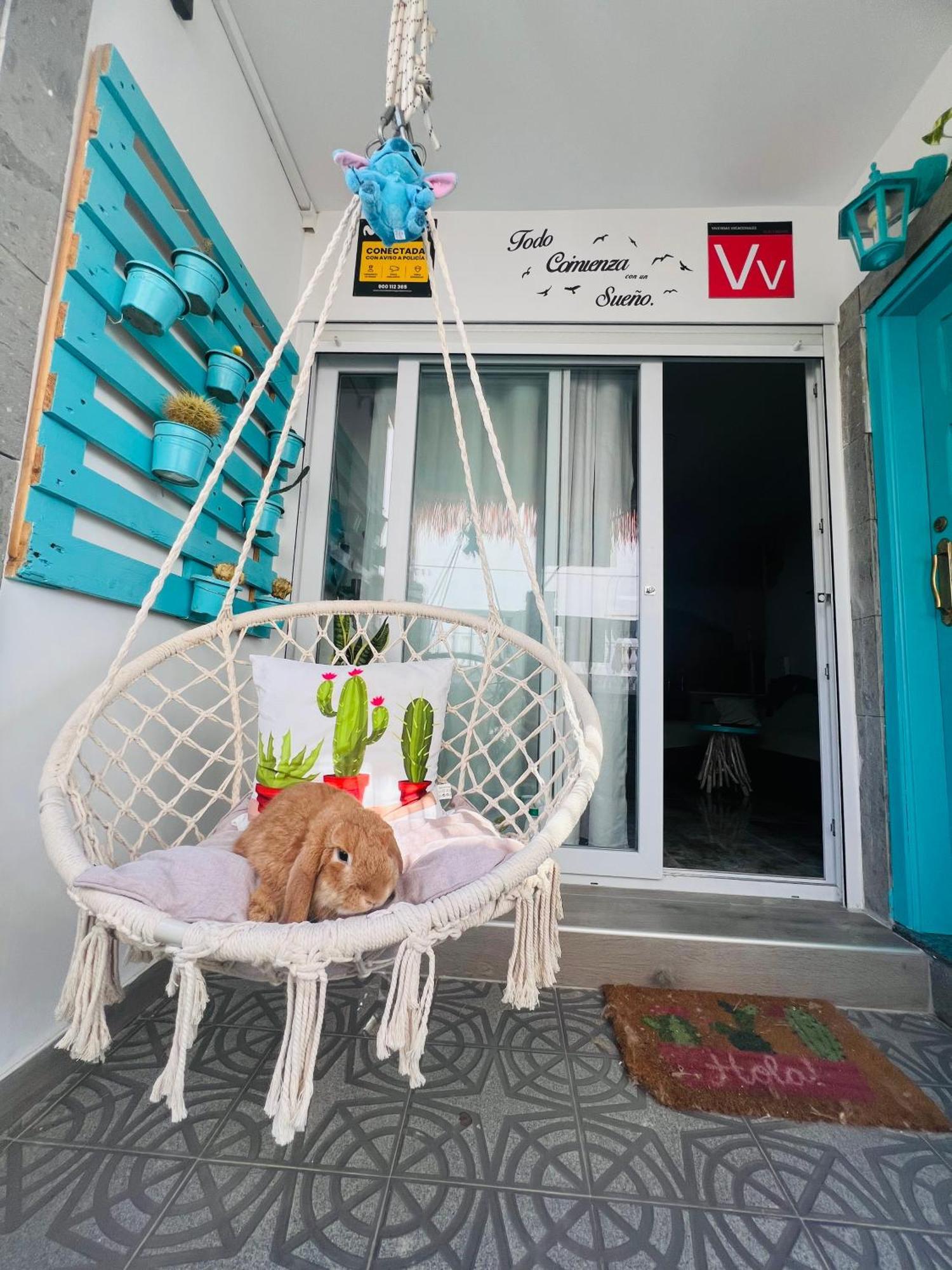 Bed & Breakfast Casa Ohana
